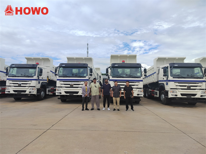 HOWO tipper lorry trucks ready for delivery