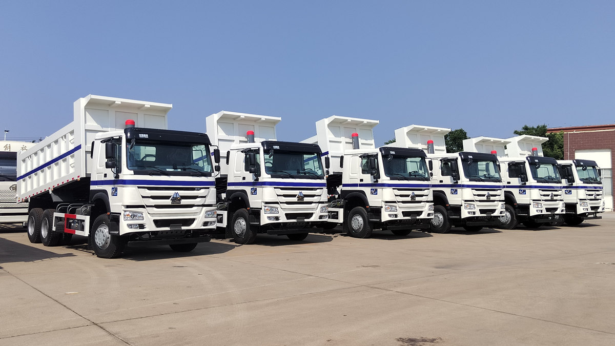 مشتری عربستان سعودی در حال بازرسی کامیون کمپرسی HOWO 20tons است